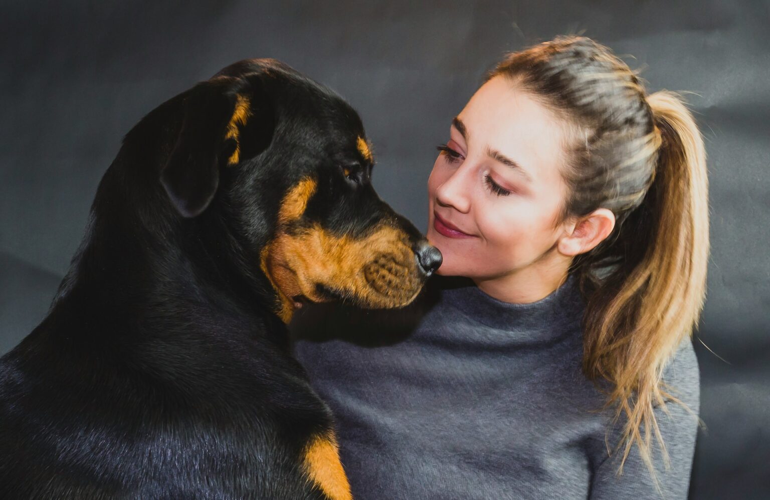 Rottweiler socialisation Rottweiler socialisation